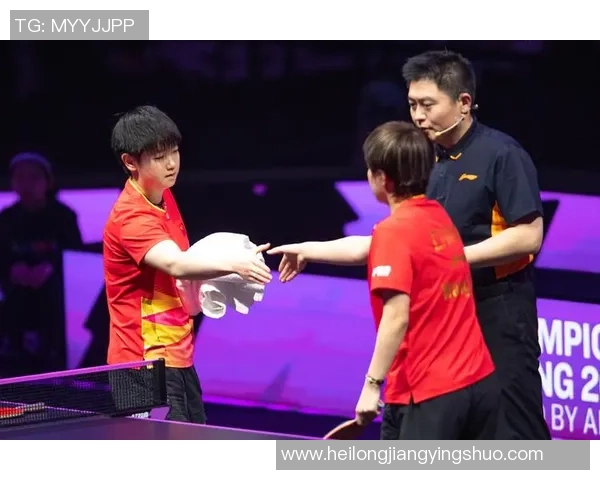 成都乒乓球队反击策略揭秘深度解析乒乓球技艺与战术的完美结合