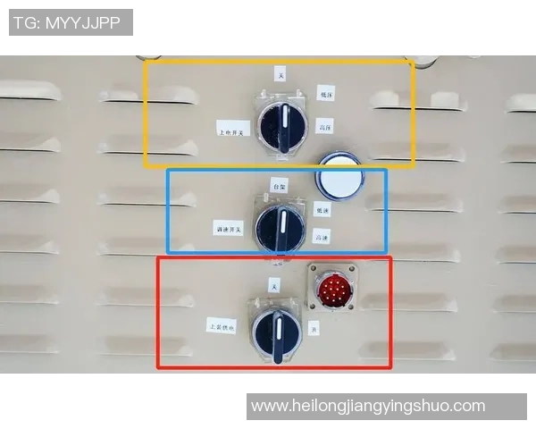 深入分析杭州排球队的控制打法及其战术优势与应用